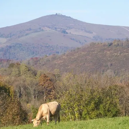 Au Coeur Du Pays Basque *