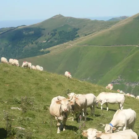 Сasa de vacaciones Au Coeur Du Pays Basque
